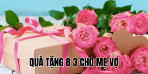 Ảnh Thumb bài viết[1]