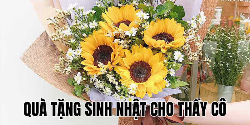 Ảnh Thumb bài viết[1]