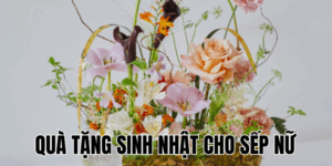 Ảnh Thumb bài viết[1]