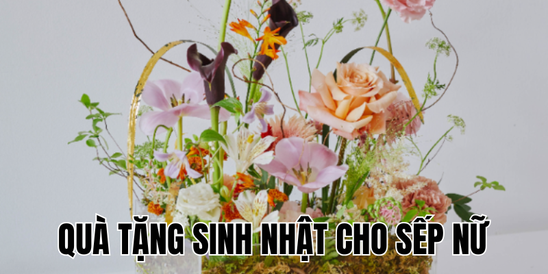 Ảnh Thumb bài viết[1]