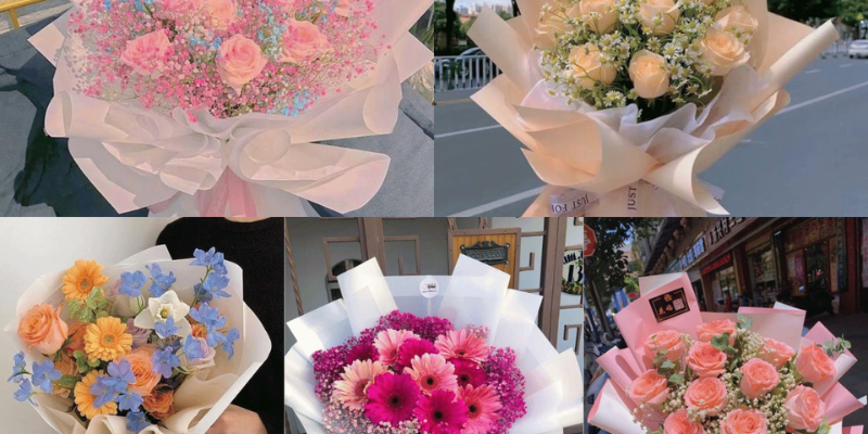 Ảnh trong bài 1[1]