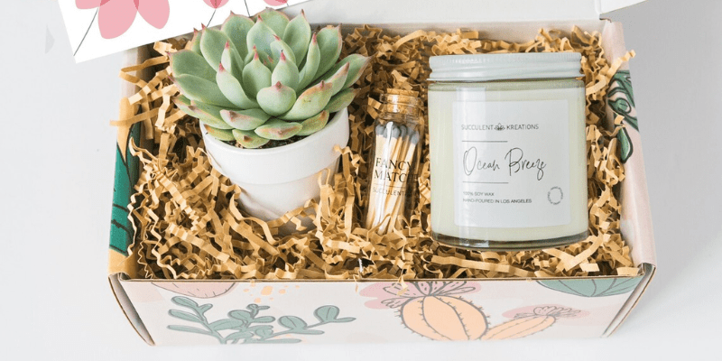 Ảnh trong bài 3[1] min[1]